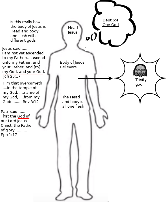 Jesus body and Him as the Head is not worshipping trinity god
