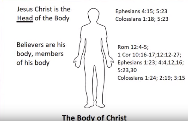 Jesus As The Head of His Body And All Members In Him Are One Flesh 